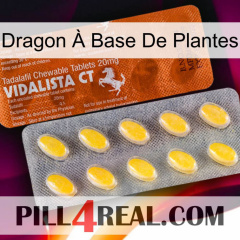 Dragon À Base De Plantes 42